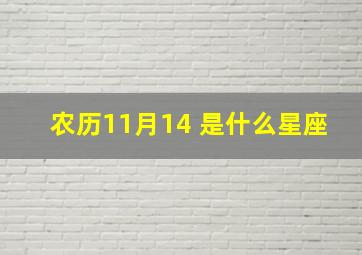 农历11月14 是什么星座